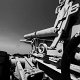 Dario Ferro Copyright - 23Robben Island